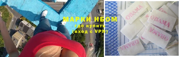 прущие грибы Покачи