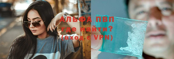 PSILOCYBIN Балахна