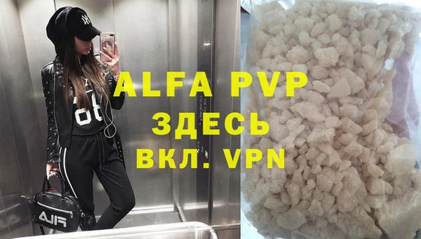 прущие грибы Покачи